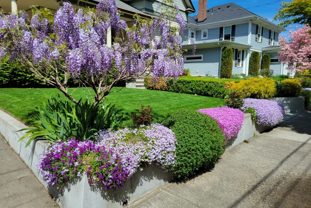 Why More Homeowners Are Choosing To Hire A Lawn Maintenance Service In Walla Walla WA