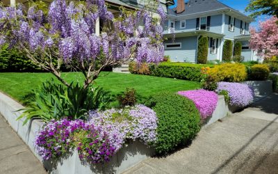 Why More Homeowners Are Choosing To Hire A Lawn Maintenance Service In Walla Walla WA