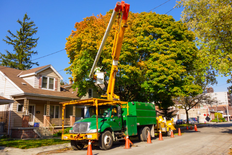 Choose A Tree Removal Service In Priest River ID That Takes The Job Seriously